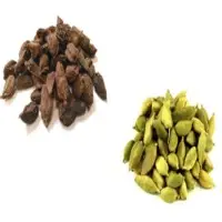 Cardamom