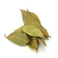 Bay Leaf