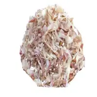 Dehydrated Onion
