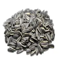 Sunflower Seeds