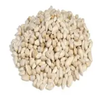 Safflower Seeds