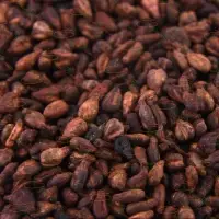 Grape Seed