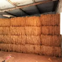 Coconut Fiber / Coir