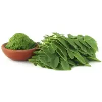 Dehydrated Moringa Leaves Powder