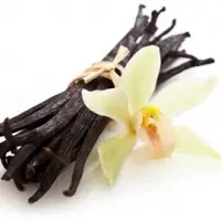Vanilla Beans