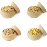 Wheat