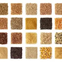 Organic Food Grains