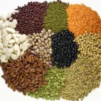 Organic Pulses