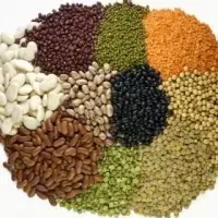 Organic Pulses