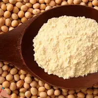 Soybean Protein