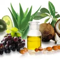 Ayurvedic and Herbal Products