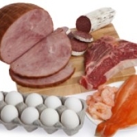 Meat & Poultry Food