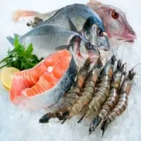 Marine Food