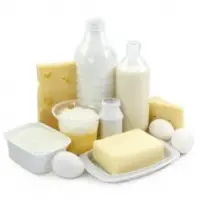 Milk & Dairy Products