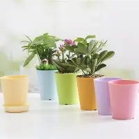 Flower Pots & Vases