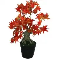 Artificial Plants & Flowers