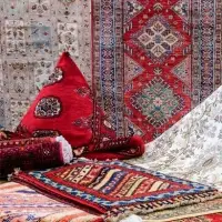 Carpets And Rugs