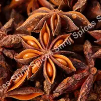 Star Anise