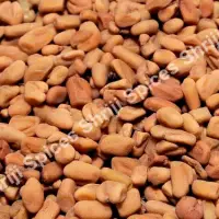 Fenugreek Seeds