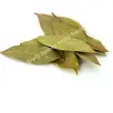 Bay Leaf