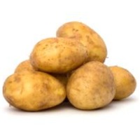 Fresh Potato