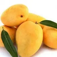 Mango And Mango Pulp
