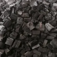B1 Charcoal