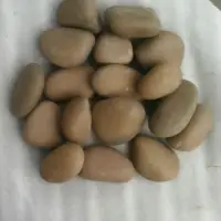 Natural River Yellow Pebbles