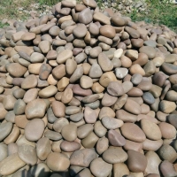 Natural Mix River Pebbles