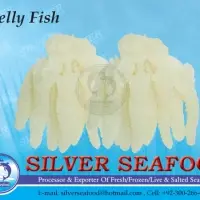 Salted Jelly Fish