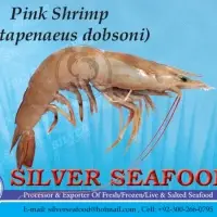 Pink Shrimp 