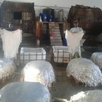 Wet Blue Sheep And Goat Leather