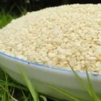 White Sesame Seed