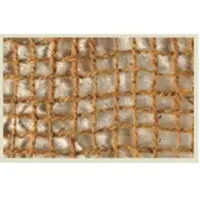 Coir Geotextile