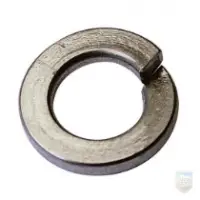 Spring Washers