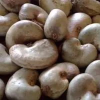 Raw Cashew Nuts