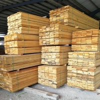 Kapur, Damar Hitam Hardwood