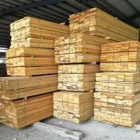 Kapur, Damar Hitam Hardwood