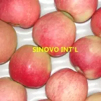 Gala Apple