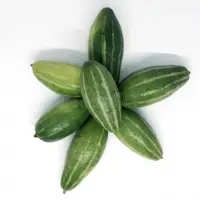 Pointed Gourd