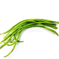 Long Green Beans