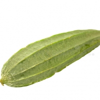 Ridge Gourd