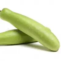 Long Bottle Gourd
