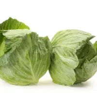 Cabbage