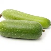 Fresh Ash Gourd