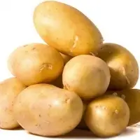 Potato