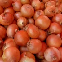 Onion