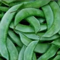 Fresh Flat Lima Beans