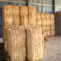 EFB Palm Fiber