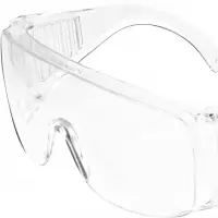Eyewear Protective Worker Bees Clear